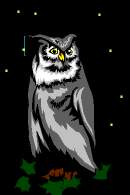 A spooky owl