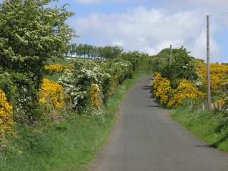 The Bishops RoadRoad