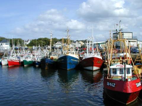 A fishing fleet