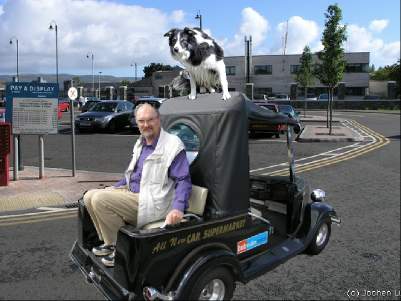 Tudoe, the border collie on to of the car