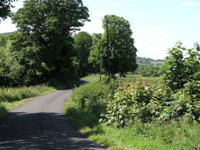 Duncrun Road