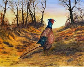A suicidal pheasant.