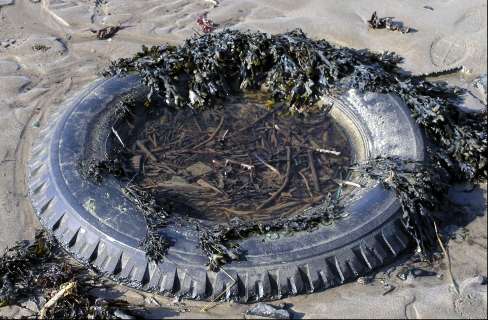 A sea wheel