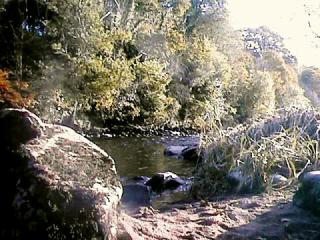 Autumn colours at the Roe