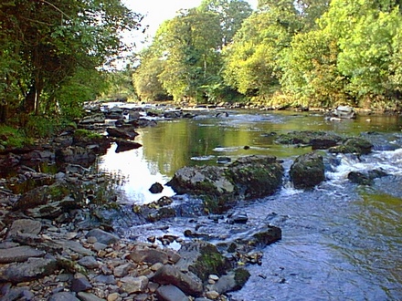 View up the Roe