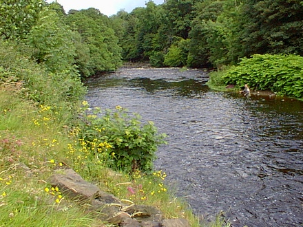 The Roe with a half hidden fisherman to the right