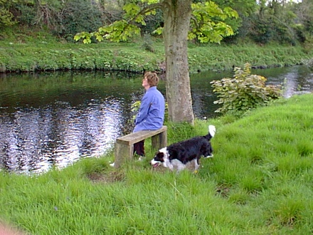 Meg and the dog on a bench