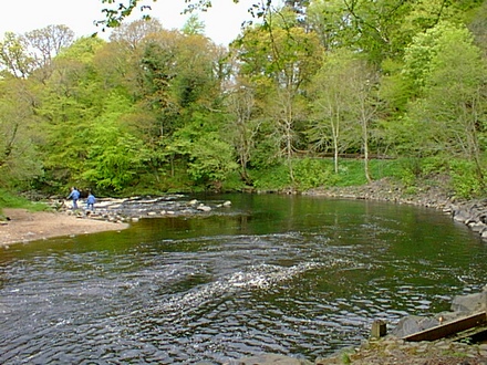 Disabled access fishing area in the Roe Valley Country Park