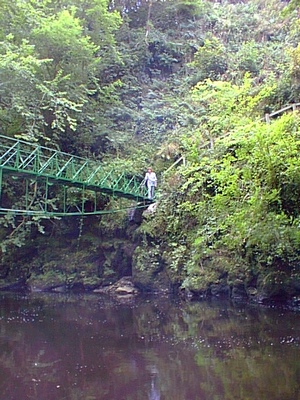 The Carrick bridge in the Roe Valley Country Park