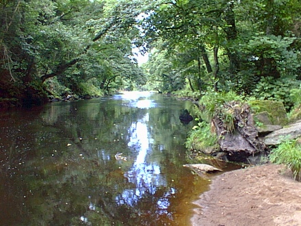 The view at carrick bridge