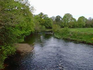 View onto the Roe